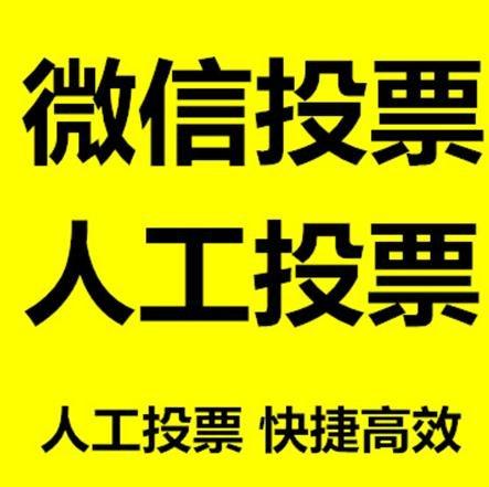 佳木斯市投票活动拉票能被查出来吗？如何操作能不被发现？